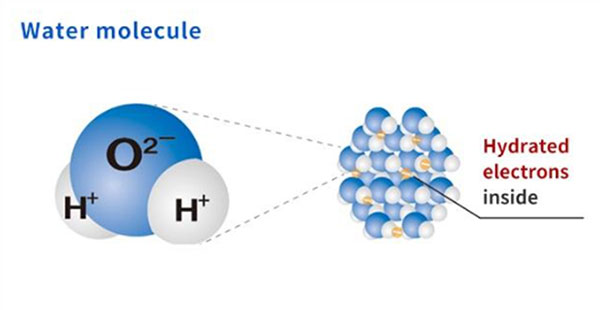 Pipetector Science 2